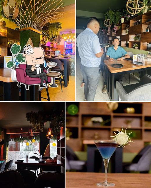 Check out how Vatika - The Kitchen Garden looks inside