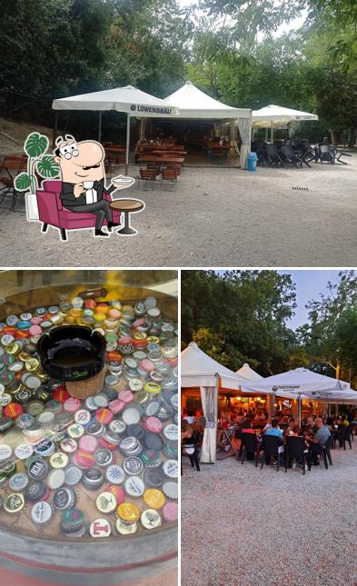 Dai un'occhiata agli interni di Old Garden