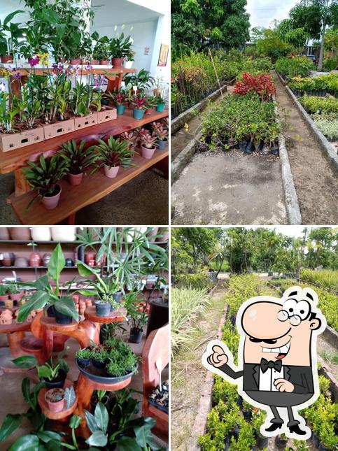 Restaurante Irmãos Rodrigues-ListaPE