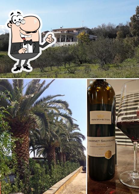 Dai un’occhiata alla foto che mostra la esterno e vino di Il Cacciatore