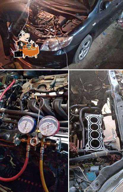 Mussels at Golden Tree Cafe - The chill zone