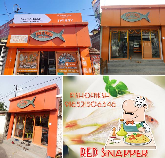 Meals at Fish O Fresh