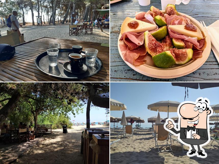 Eucaliptus Beach da Cilli