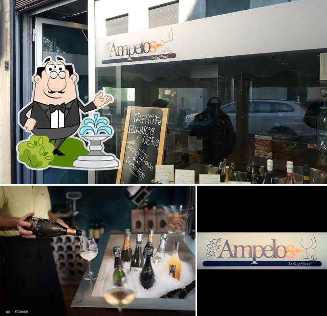 Gli esterni di Ampelos Winefood