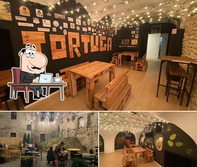 Gli interni di Tortuga