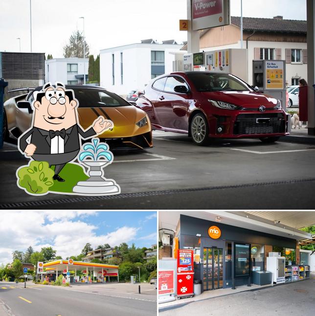 Gli esterni di Shell