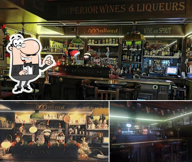Gli interni di Mallard Pub Di Vignola Silvano