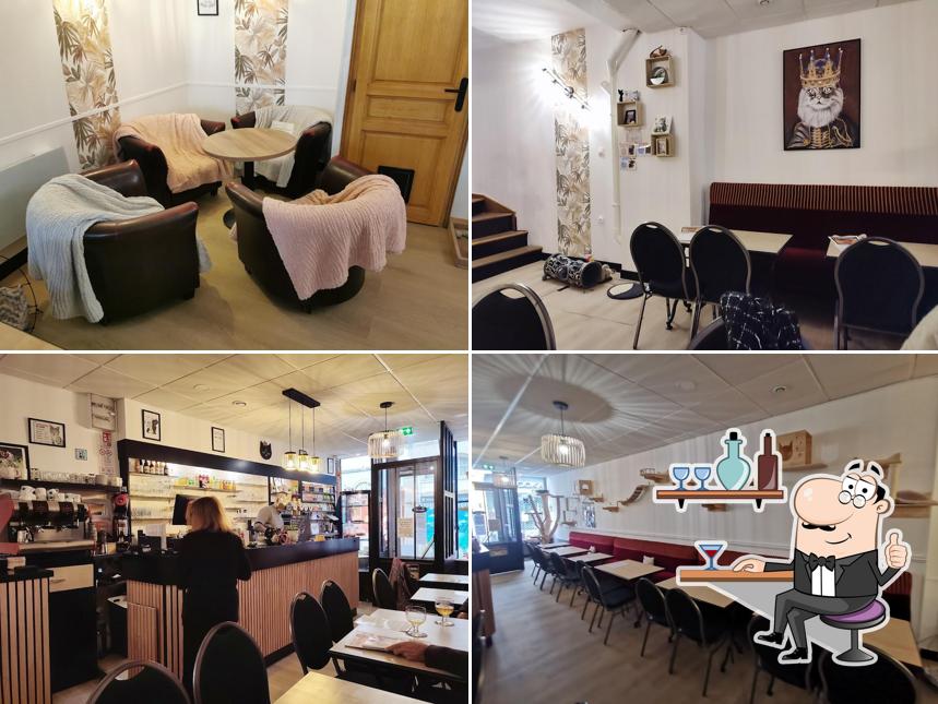 Chez Maminou ( Café des chats )