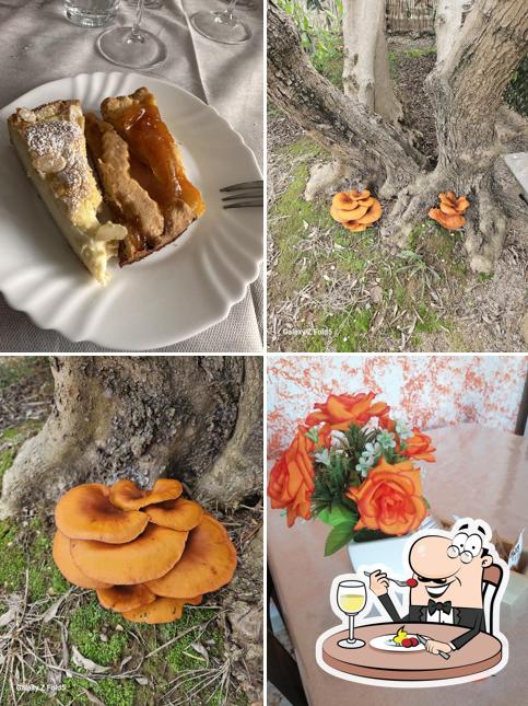 Agriturismo Tramonto in Maremma