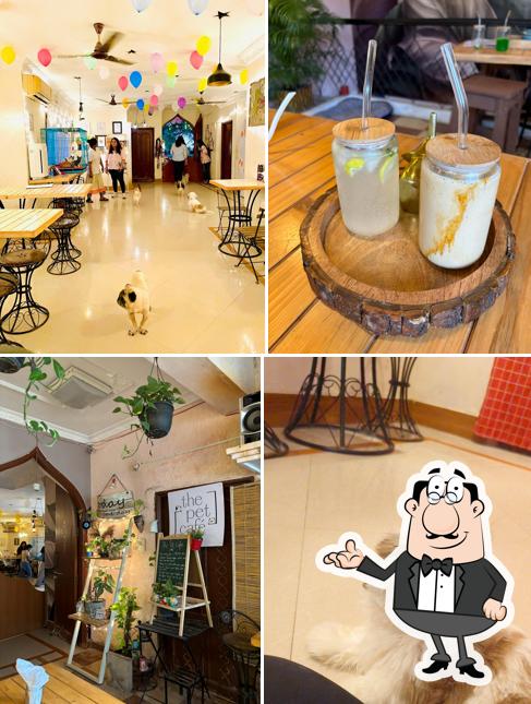 Take a seat at one of the tables at The Pet Cafe Hyderabad