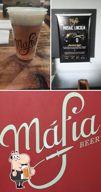 Desfrute a variedade de cervejas