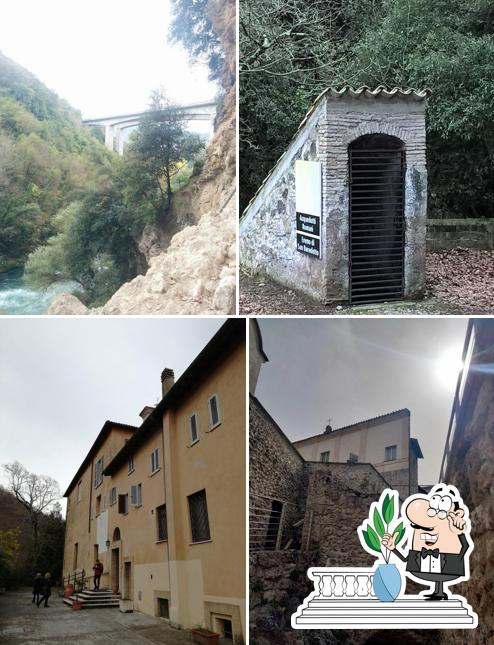 Curiosa tra gli esterni di Oasi Francescana