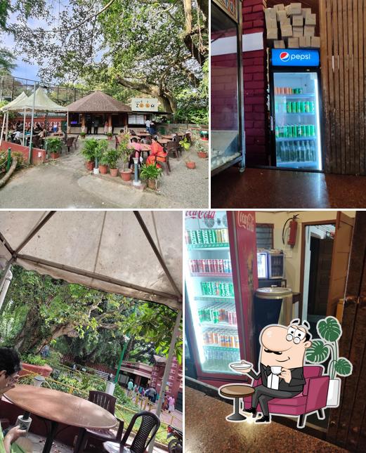 Check out how Cafe zoom KTDC looks inside