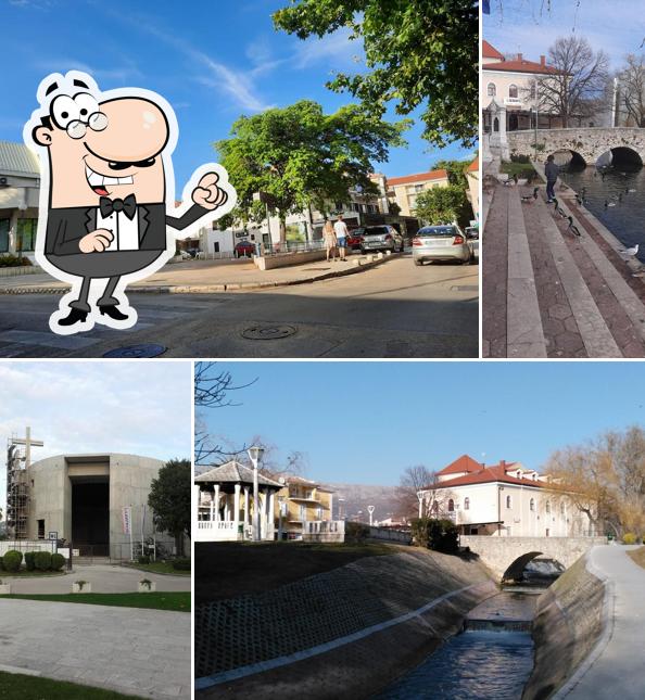 Curiosa tra gli esterni di Dvi Palme