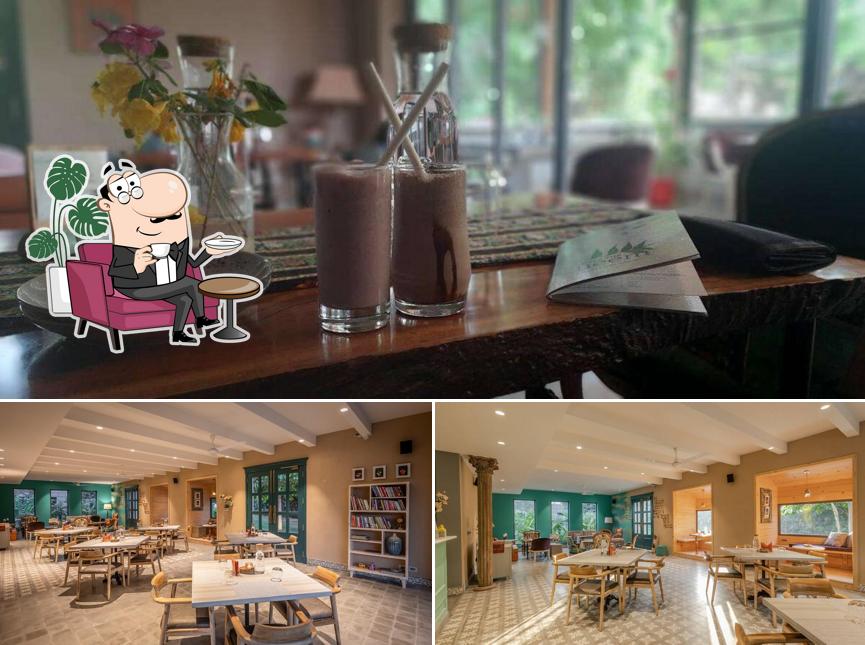 Check out how Under The Neem looks inside