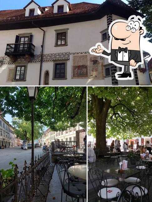 Dai un'occhiata agli interni di Kavarna Homan