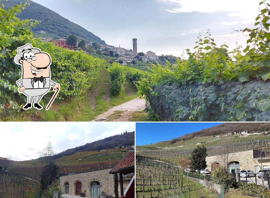 Guarda gli esterni di Vigneto Vecio - agriturismo con cucina e alloggi