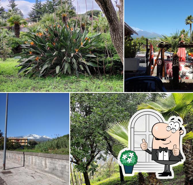 Guarda gli esterni di Parco Chico Mendes