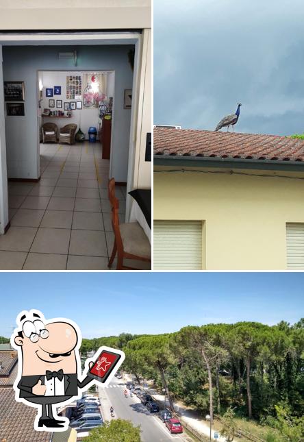 Curiosa tra la parte esterna di Hotel Regina