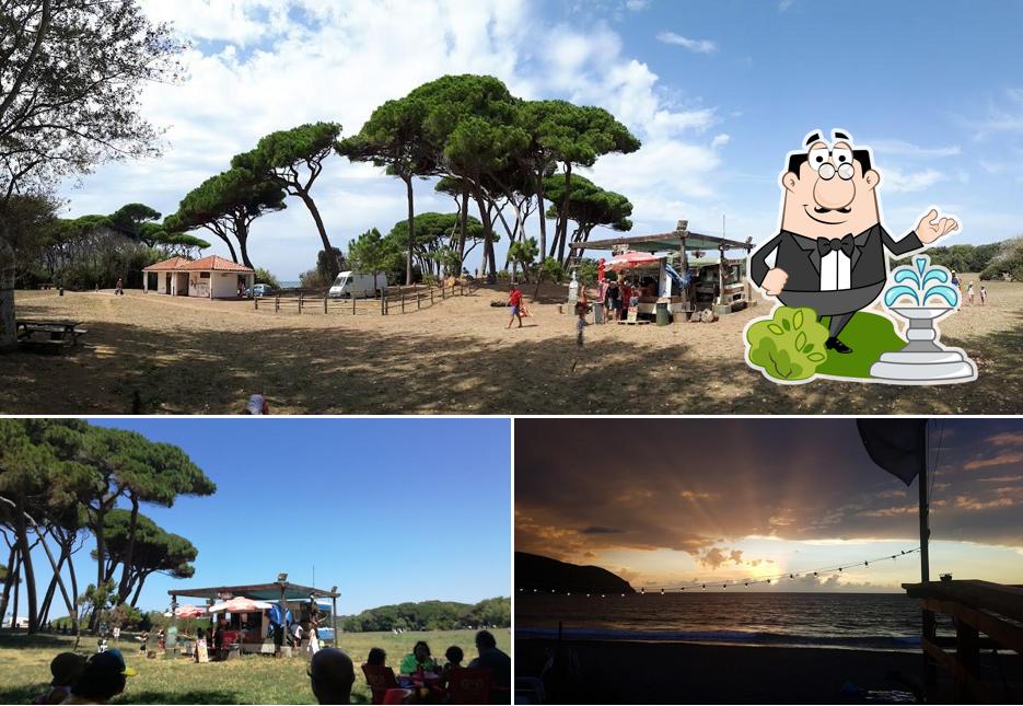 Goditi la vista dall'area esterna di Casotto di Baratti