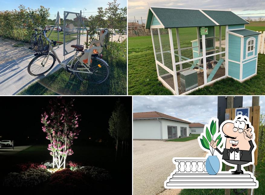 Guarda gli esterni di Country House Campofiore