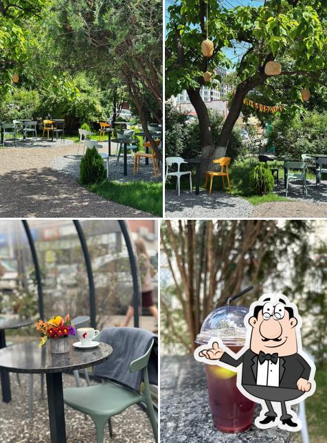 Coffee Garden