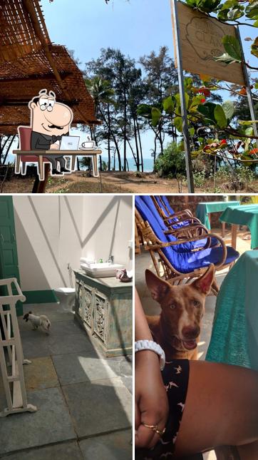 The image of The Drunken Clam’s interior and exterior