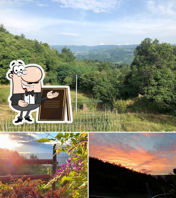 Podere sorriso degli angeli