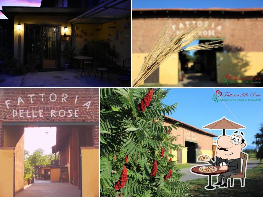 Goditi la vista dagli esterni di Fattoria delle Rose