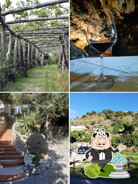 Guarda gli esterni di Agriturismo La Grotta