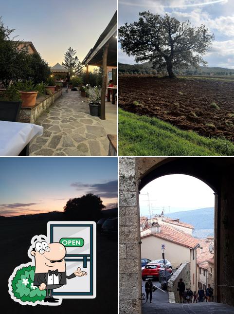 Ristorante Azienda Agricola La Rialla