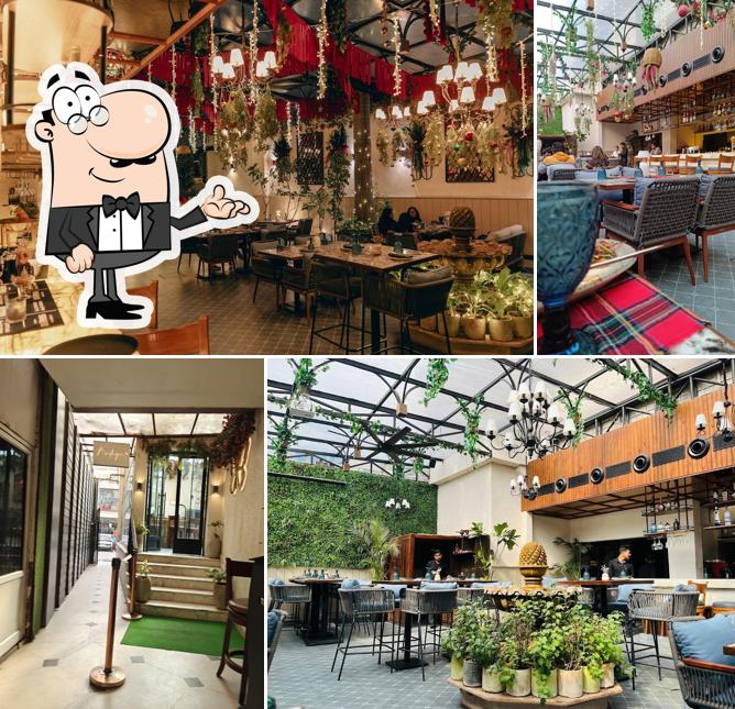 Bodega - Cocktail Bar and Kitchen