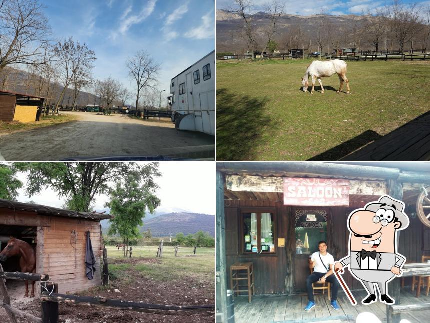 Puoi goderti l'aria fresca dal dehors di Agriturismo al Ranch