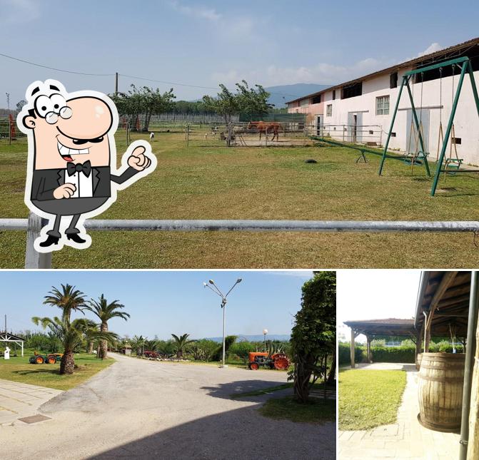 Gli esterni costituiscono una caratteristica importante di Agriturismo Trigna di La Ferla Francesco