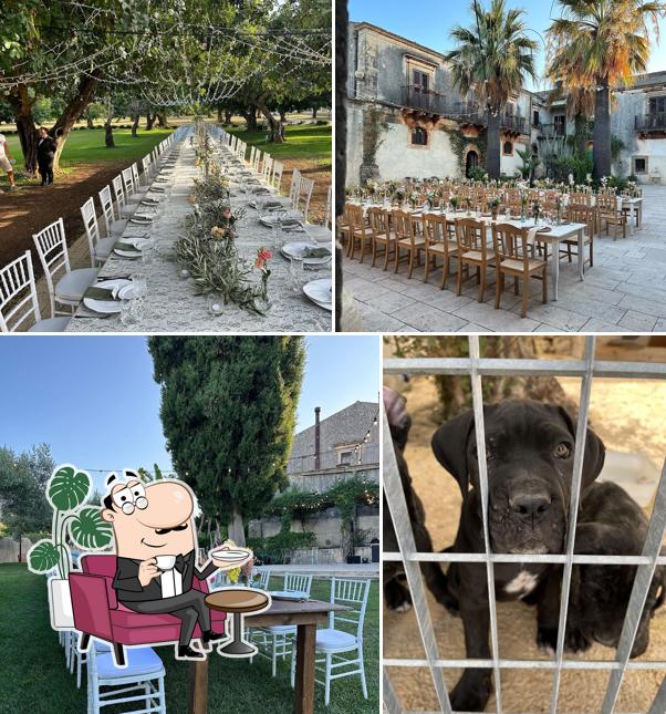 Gli interni di Ristorante Borgo del carato