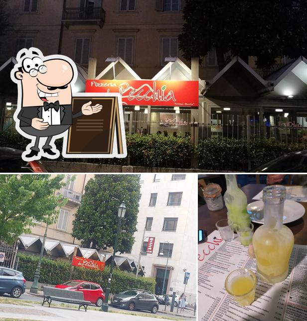 Questa è la immagine che raffigura la esterno e bevanda di Da Pecchia Pizza e Sfizi Napoletani