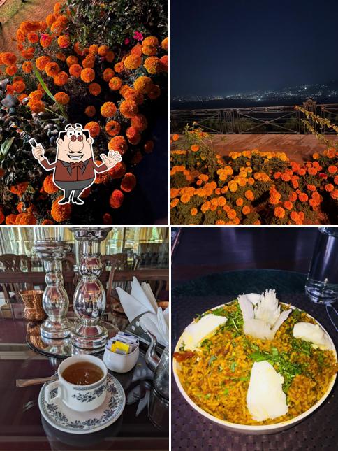 Meals at Nilaya restaurant