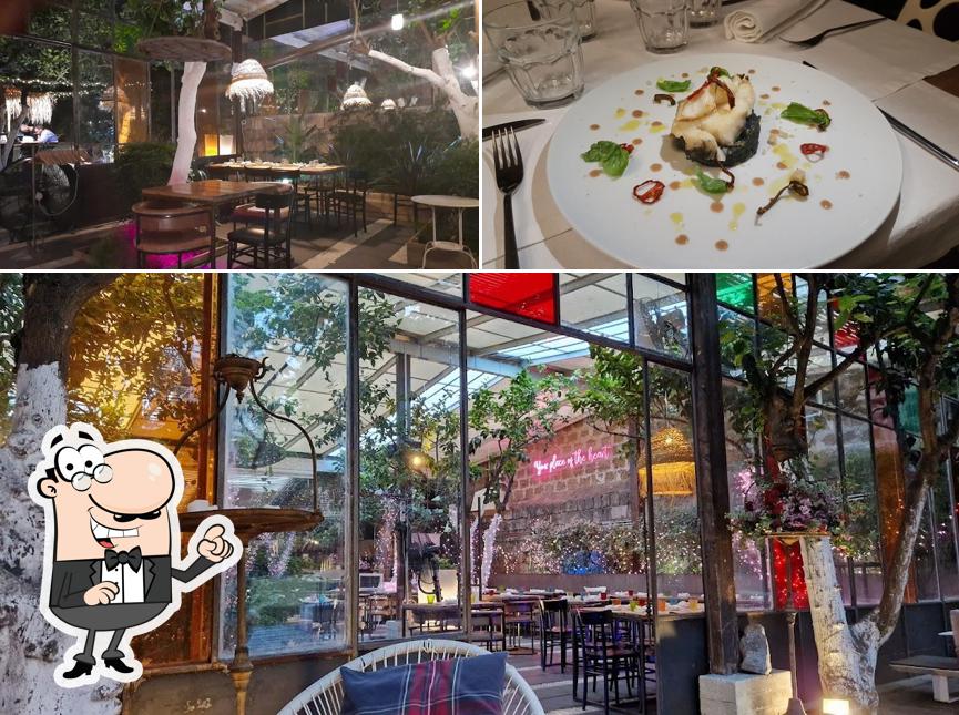 La interni e cibo del ristorante