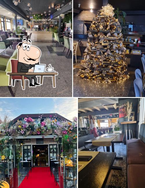 Dai un'occhiata agli interni di San Martin