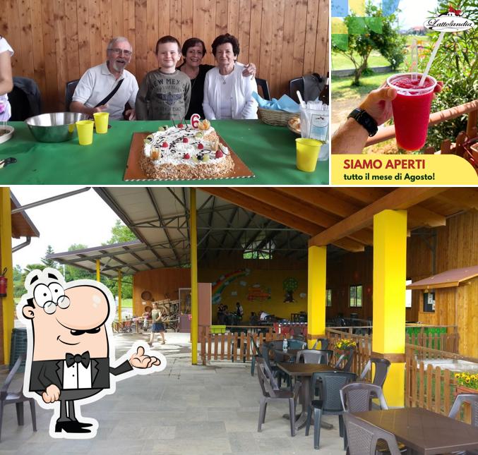 Tra le diverse cose da Lattolandia Agrigelateria Alpignano si possono trovare la interni e bevanda