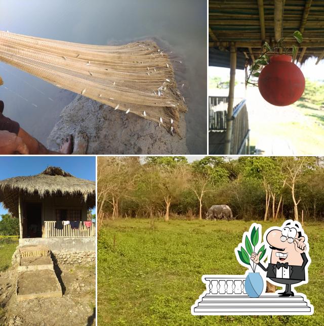 Enjoy the view at the outside area of Apin Okum-The Eco Camp