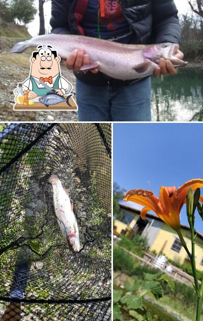 Laghetto Canadino serve un'ampia gamma di piatti di pesce