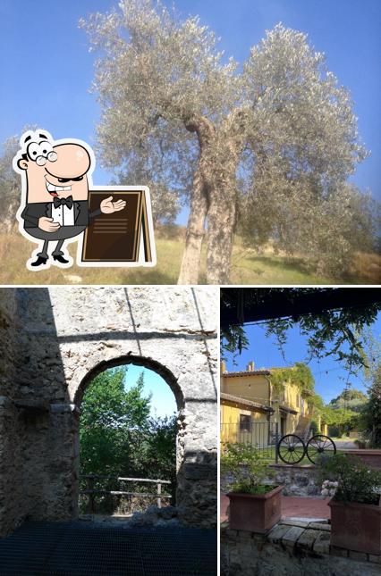 Puoi goderti l'aria fresca da seduto all'esterno di Agriturismo Il Gelso Nero