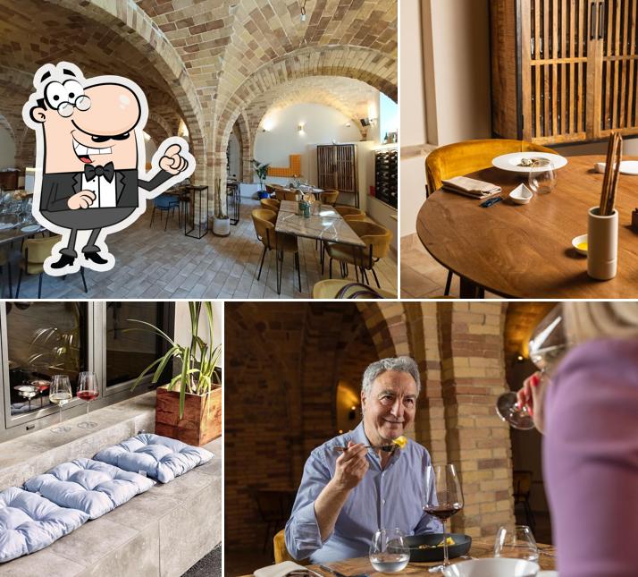 The Vinum Senses - Osteria Contemporanea