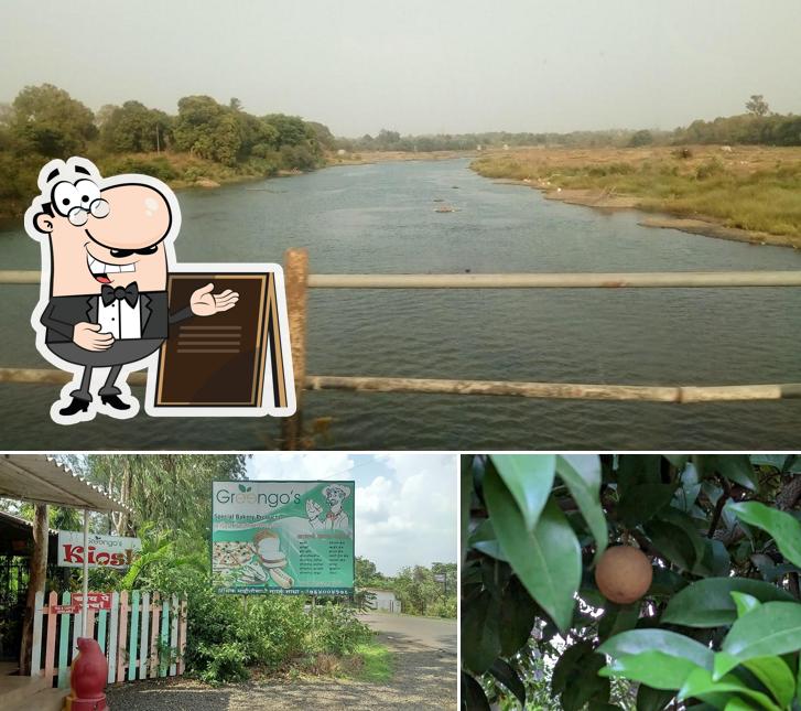 Greengo's Farm stay