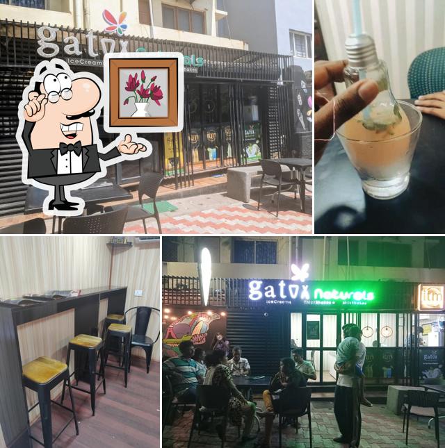 Check out how Gatox Naturals looks inside