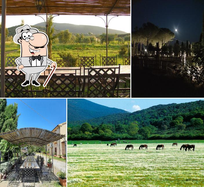 L'area esterna è una caratteristica importante di Agriturismo biologico la Pulledraia
