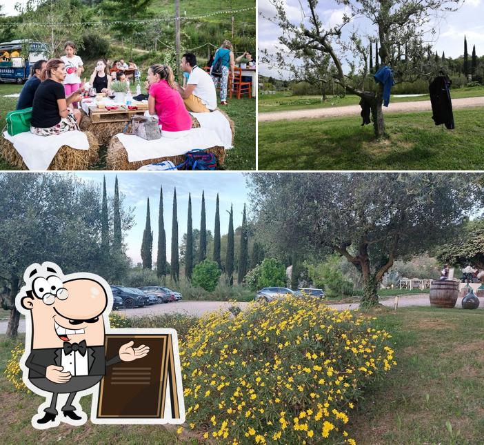 Puoi goderti l'aria fresca dal dehors di La Collina dei Magari