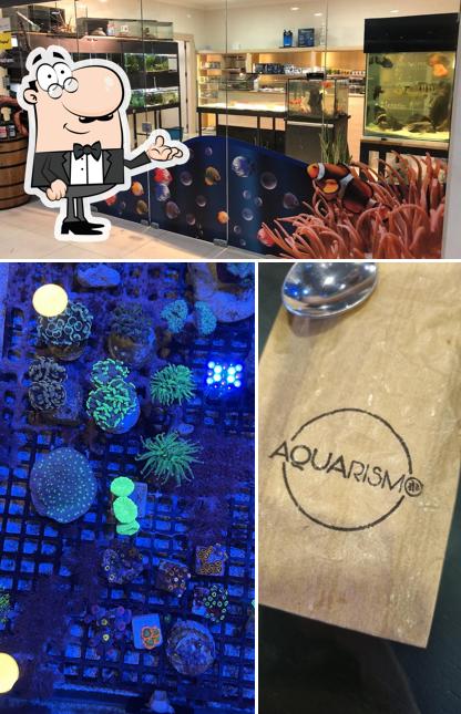 Veja imagens do interior do Aquarismo experience