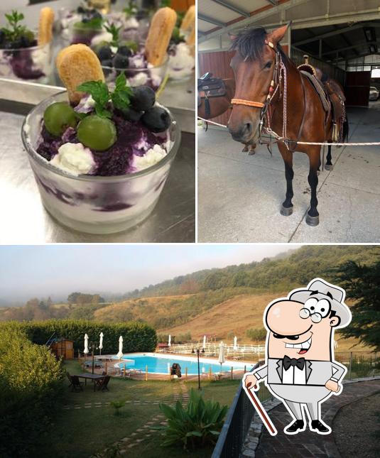 Puoi goderti l'aria fresca dal dehors di Agriturismo Goccia di Luna